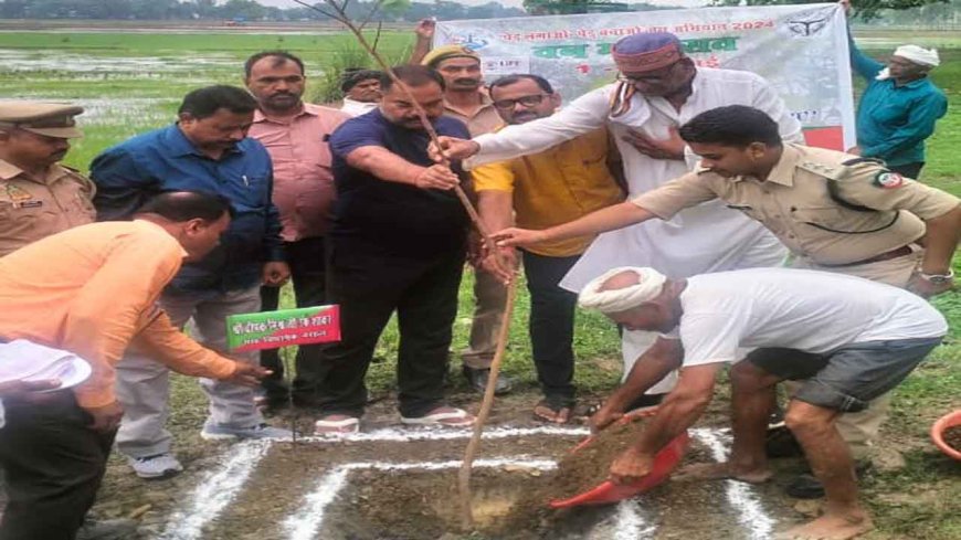 पेड़-पौधों के माध्यम से प्रकृति सभी प्राणियों पर अनंत उपकार करती है-दीपक मिश्रा